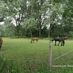 Privatunterkunft Homestay Podebrady *