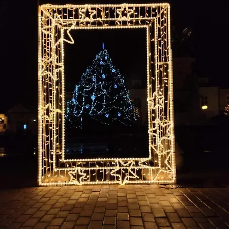 Homestay Podebrady Δωμάτια σε οικογενειακή κατοικία