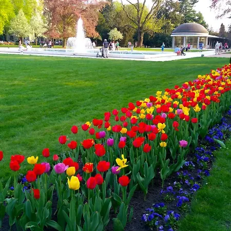 Homestay Podebrady Δωμάτια σε οικογενειακή κατοικία Poděbrady