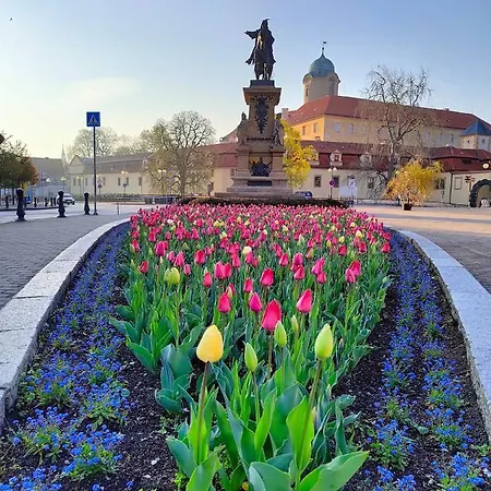 בית אירוח Homestay Podebrady