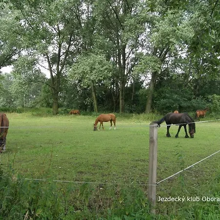 Privatunterkunft Homestay Podebrady *