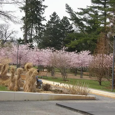 Homestay Podebrady Pansiyon