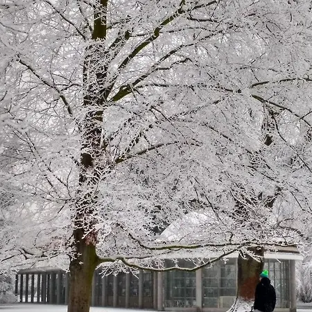 Homestay Podebrady Δωμάτια σε οικογενειακή κατοικία Poděbrady