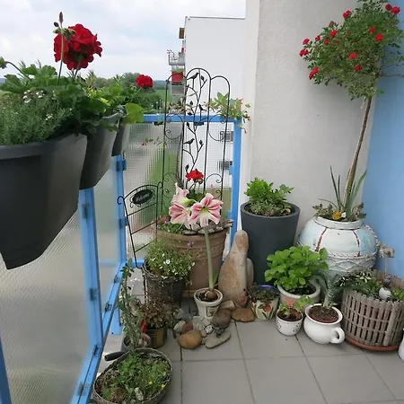 בית אירוח Homestay Podebrady *