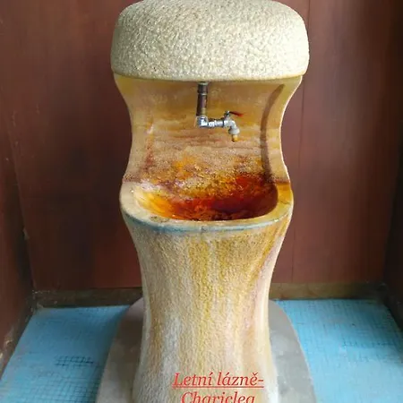 Homestay Podebrady * Poděbrady