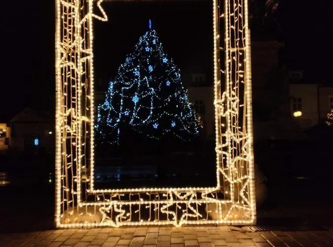 波德布拉迪寄宿酒店 民宿