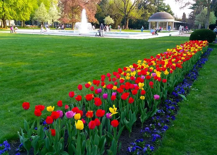 波德布拉迪寄宿酒店 民宿 波杰布拉迪