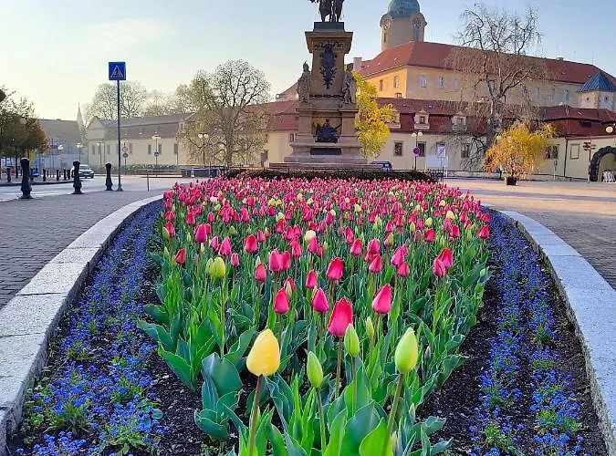 民宿 波德布拉迪寄宿酒店