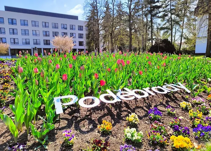 Homestay Podebrady Rum i privatbostad