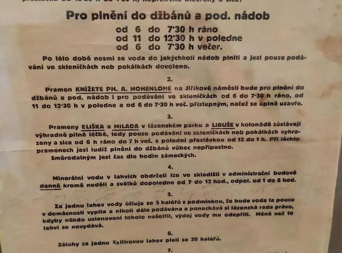 波德布拉迪寄宿酒店 * 波杰布拉迪