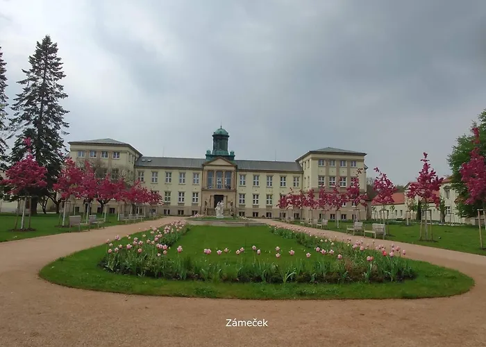 波德布拉迪寄宿酒店 * 波杰布拉迪