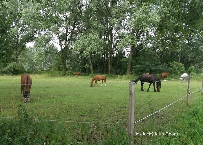 Homestay Homestay Podebrady *