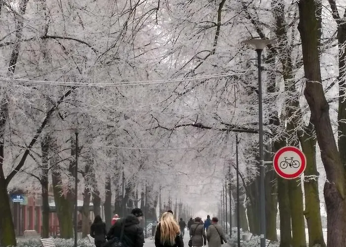 Homestay Homestay Podebrady *