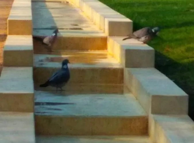 波德布拉迪寄宿酒店 民宿