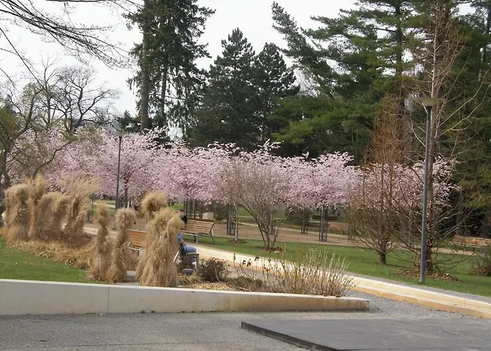 波德布拉迪寄宿酒店 民宿
