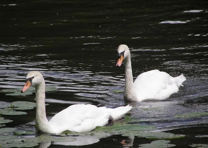 波德布拉迪寄宿酒店