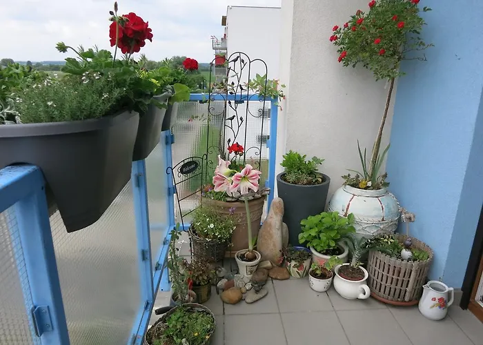 民宿 波德布拉迪寄宿酒店 *