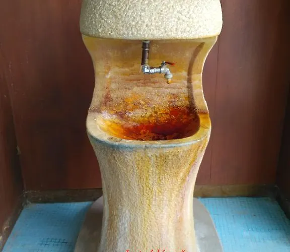 波德布拉迪寄宿酒店 * 波杰布拉迪