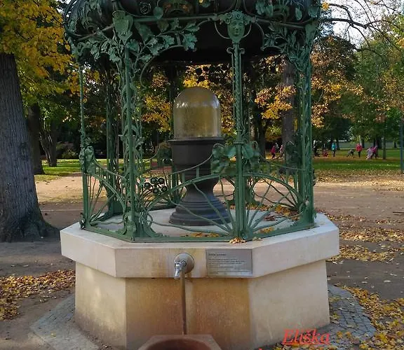 波德布拉迪寄宿酒店 *